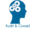 icone Orba informatique pour le travail d'audit et de conseil